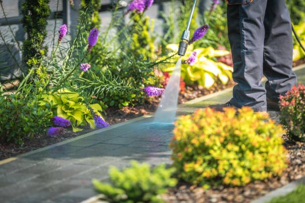 Best Patio and Deck Pressure Washing  in South Pekin, IL
